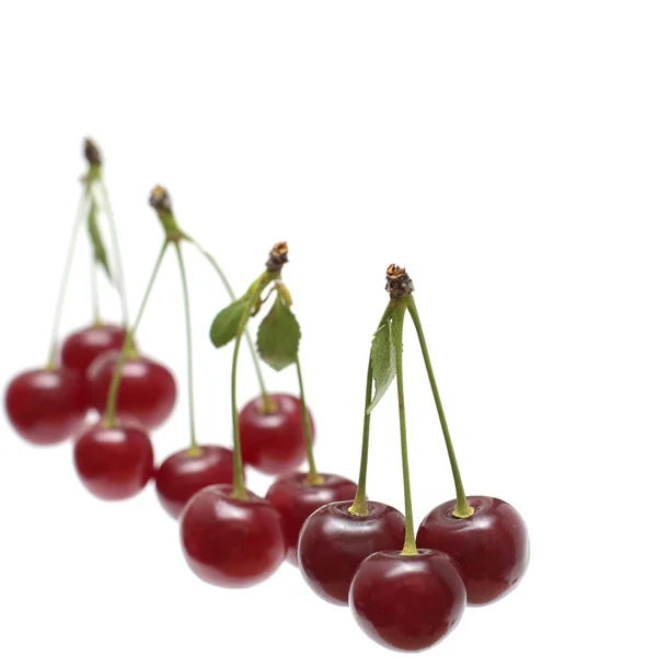 Fresh red cherry on white background — Stock Photo, Image