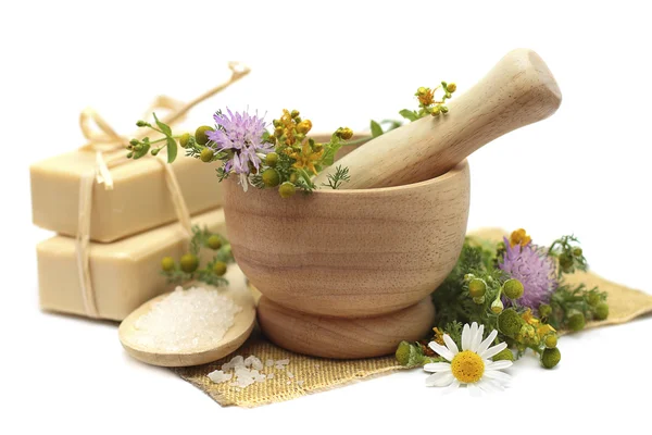 Tratamiento a base de hierbas - manzanilla, tutsan y cosméticos —  Fotos de Stock