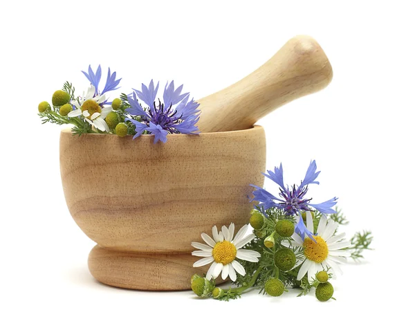 Herbal Treatment - medicine camomile, cornflowers and pestle iso — Stock Photo, Image