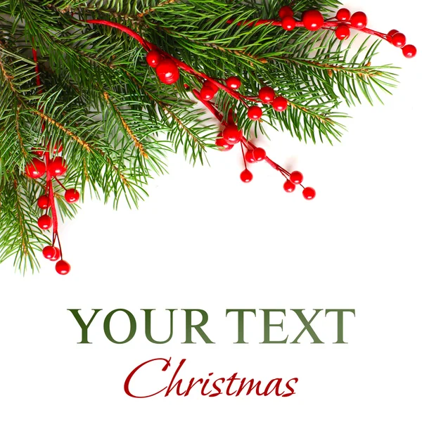 Christmas background with Xmas green fir tree — Stok fotoğraf