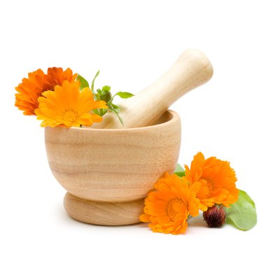 Calendula flowers, mortar and pestle isolated clipart