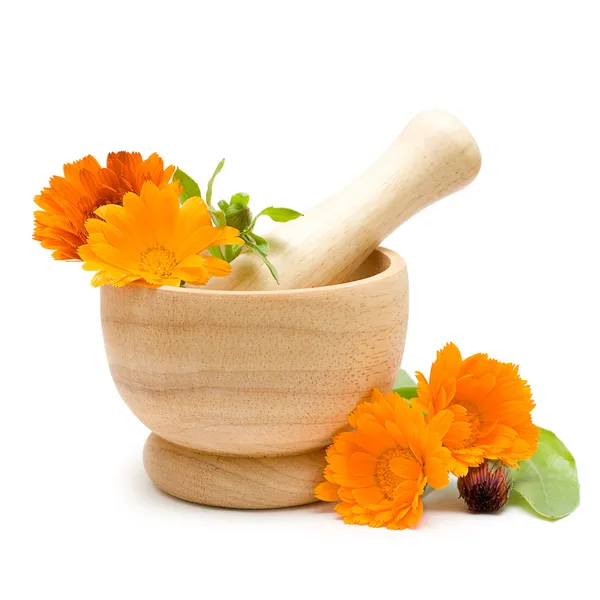 キンセンカの花、乳鉢および乳棒の分離 — ストック写真
