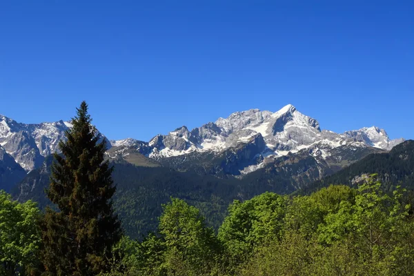 Alpina landskapet — Stockfoto
