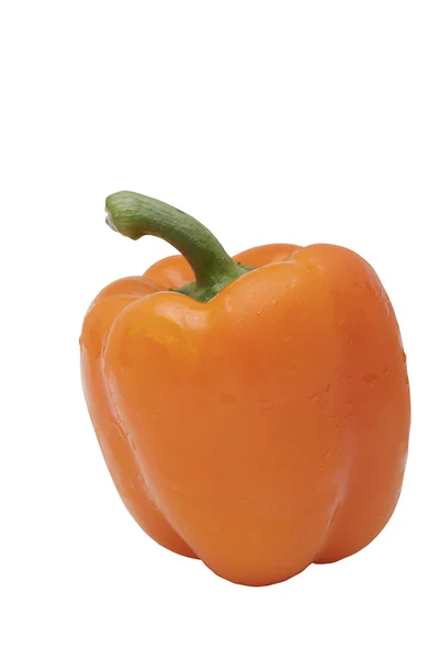 Oranje peper geïsoleerd — Stockfoto
