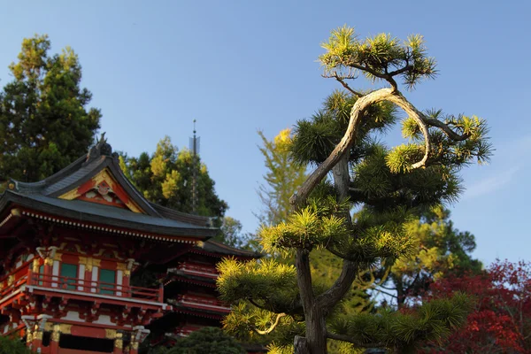 Japon Tapınağı — Stok fotoğraf