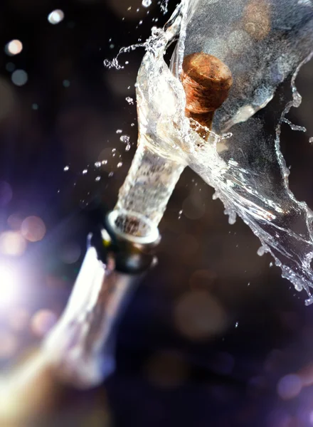 Şampanya mantar — Stok fotoğraf