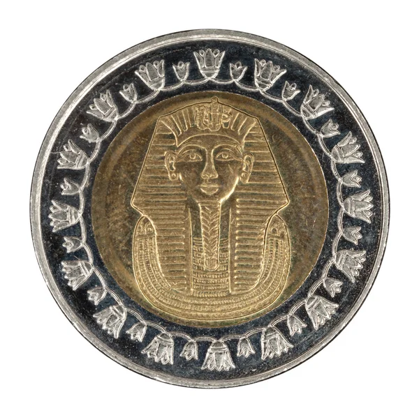 Stock image The Egyptian coin