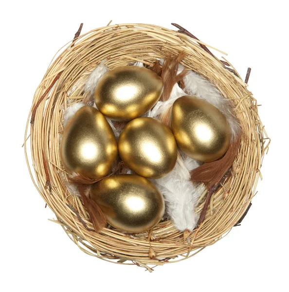 stock image Golden egg