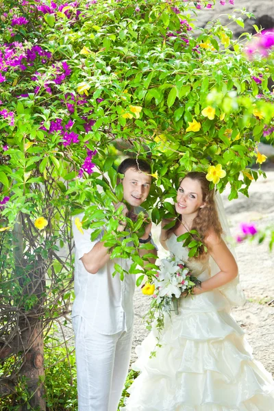 Tropik düğün — Stok fotoğraf