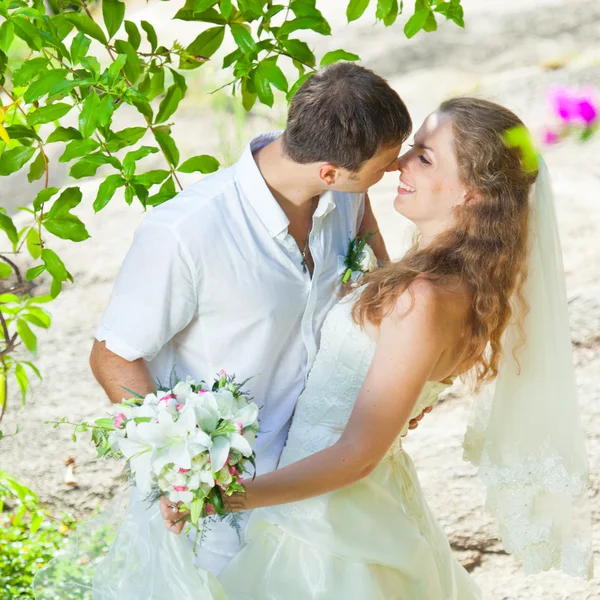 Tropische bruiloft — Stockfoto