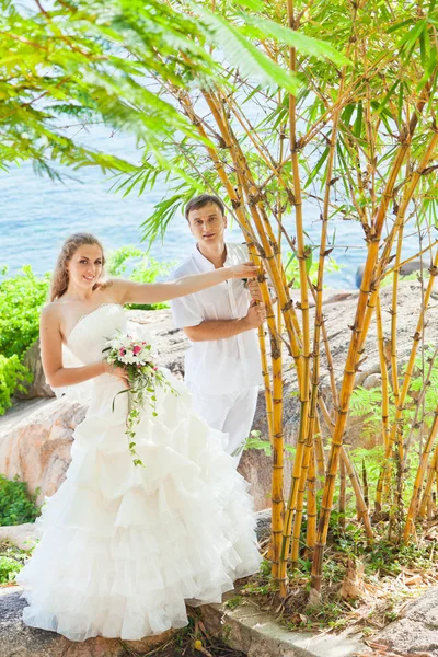 Tropische bruiloft — Stockfoto