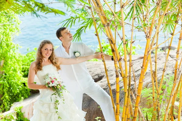 Tropik düğün — Stok fotoğraf