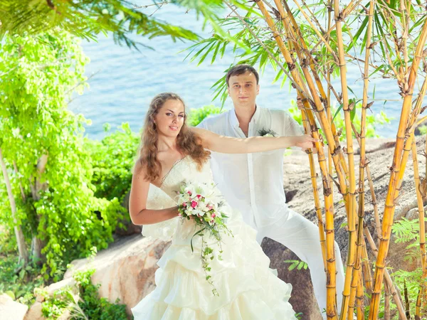 Тропическая свадьба — стоковое фото