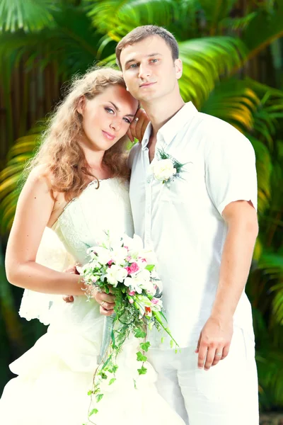 Тропічний весілля — стокове фото