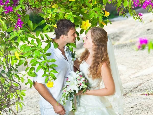 熱帯の結婚式 ストック写真