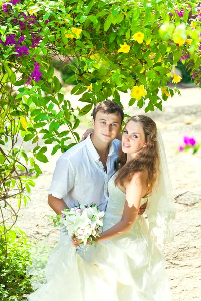Тропическая свадьба — стоковое фото