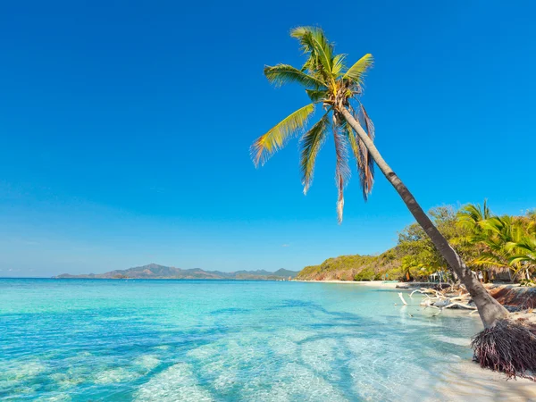 Tropical beach Malcapuya — Stock Photo, Image