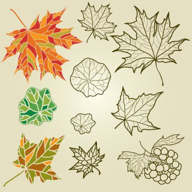 Vector set of autumn leafs clipart