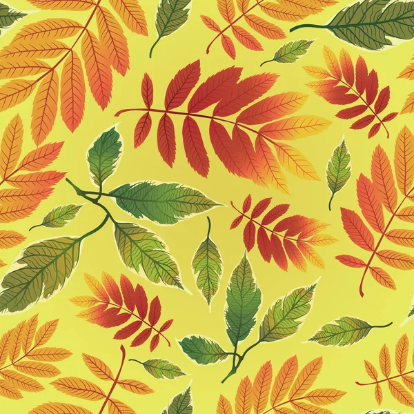 Vector inconsútil otoño hojas de fondo. Acción de Gracias — Archivo Imágenes Vectoriales