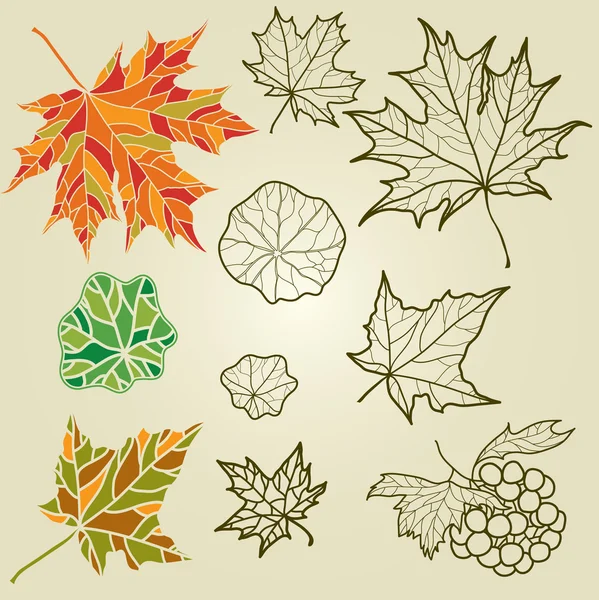 Vektor csoportja, őszi levelek — Stock Vector