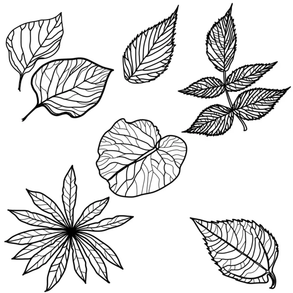 Serie vettoriale di foglie autunnali — Vettoriale Stock