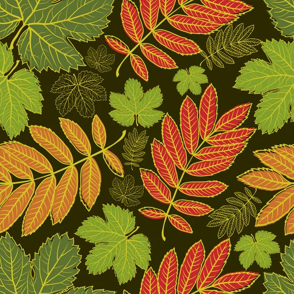 Άνευ ραφής διάνυσμα Φθινοπωρινά φύλλα φόντο. ημέρα των ευχαριστιών — Διανυσματικό Αρχείο