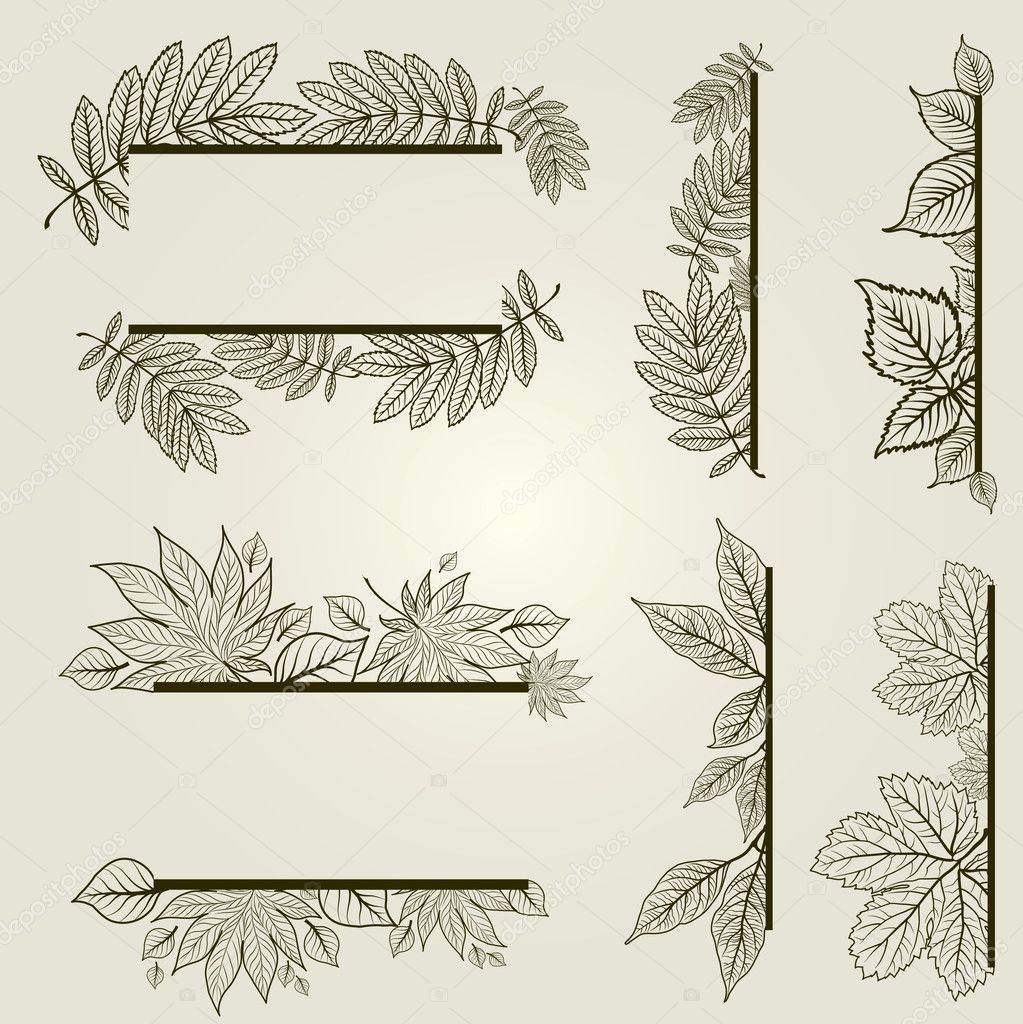 Vector set of vintage design elements with leafs