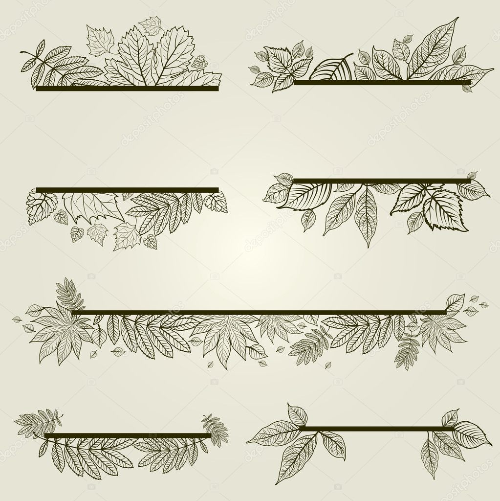 Vector set of vintage design elements with leafs