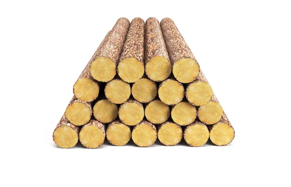 Stapel van pine logs — Stockfoto