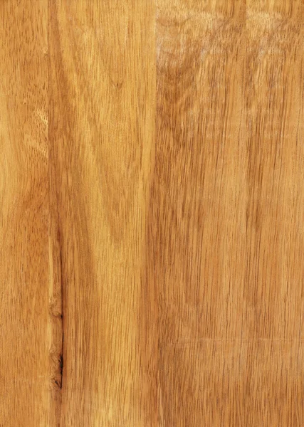 Hevea wood texture — Stock Photo, Image