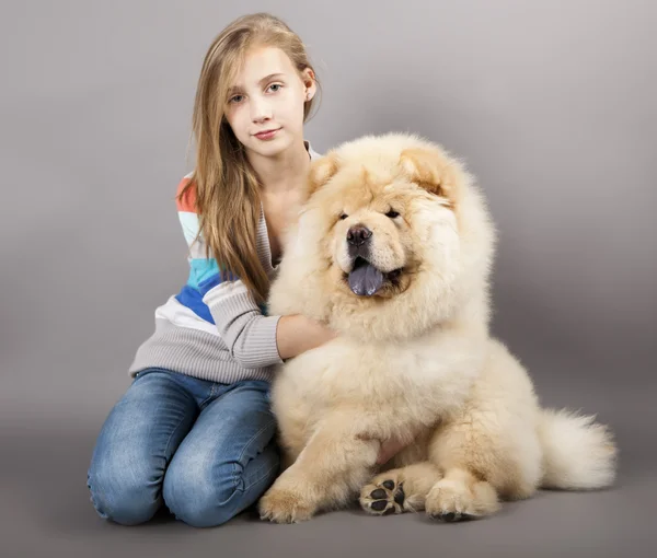 Jente og hund Chow-chow – stockfoto