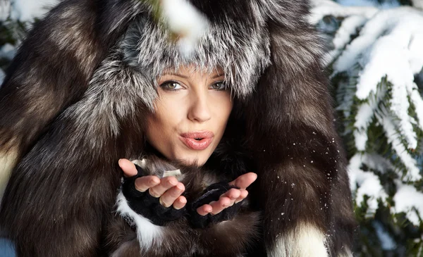 Schönheit Frau in der Winterlandschaft — Stockfoto