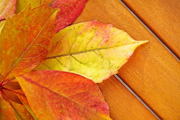 Jesienne liście na drewnianym tle. — Zdjęcie stockowe
