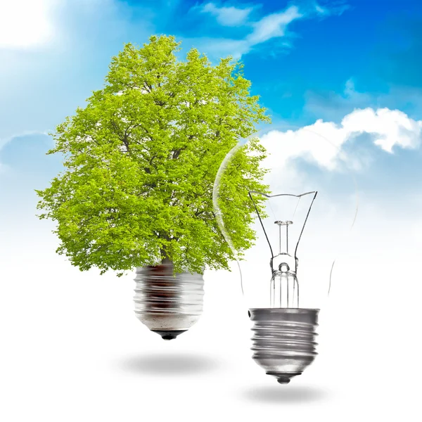 Begreppet grön energi — Stockfoto