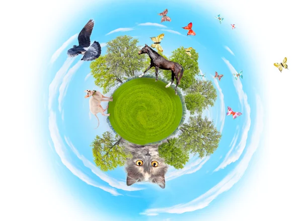 stock image Little planet