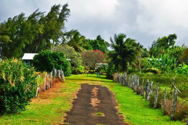 büyük ada manzarası. Hawaii. ABD