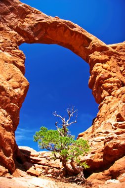 Sunny day in Arches Canyon clipart