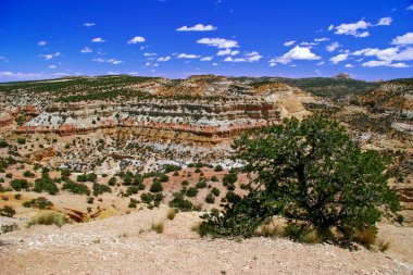 utah state manzarası. ABD