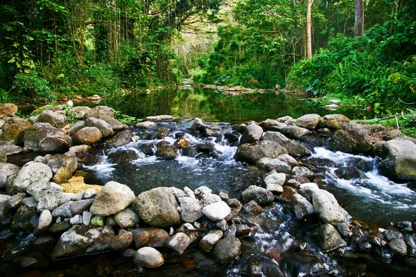 Malý potok v džungli velký ostrov. Havaj. — Stock fotografie