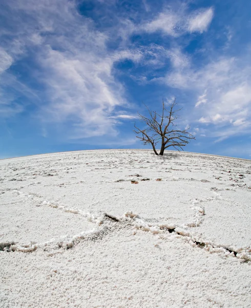 Λευκό αλάτι έρημο κάτω από το γαλάζιο του ουρανού με τα σύννεφα — Φωτογραφία Αρχείου