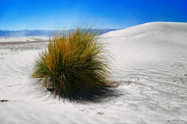 Dunas de arena blanca, Valle de la Muerte, California —  Fotos de Stock