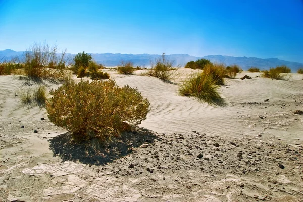 Beyaz kum tepeleri, death valley, california — Stok fotoğraf