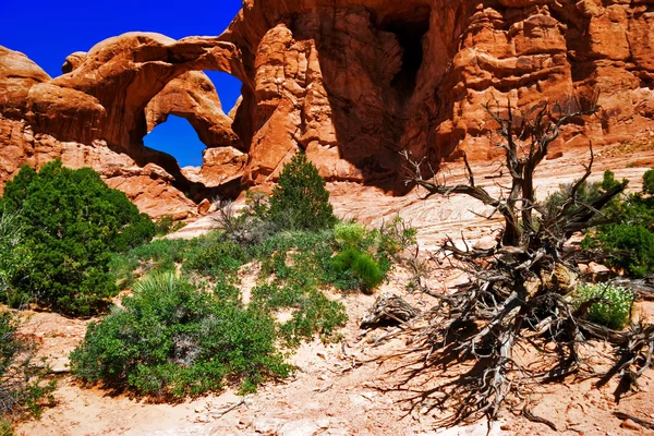 Kemer canyon güneşli bir günde — Stok fotoğraf