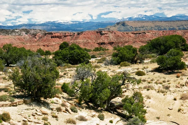 Paysage de l'État de l'Utah. États-Unis — Photo