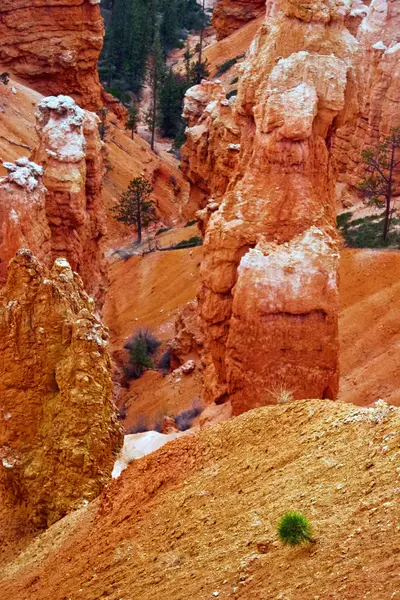 Pohled z hlediska bryce Canyon. Utah. Spojené státy americké — Stock fotografie