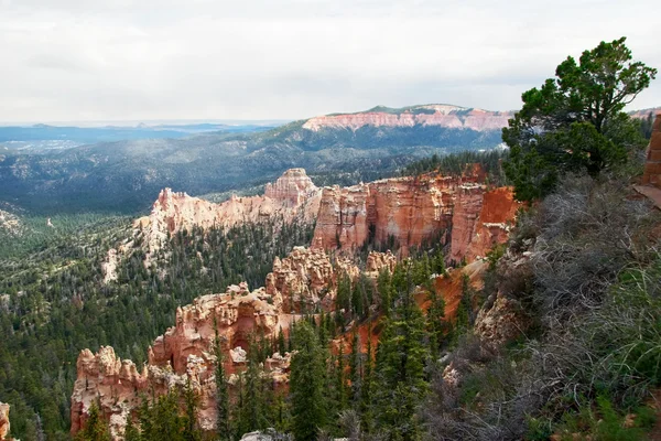 Nézd bryce Canyon szempontból. Utah. Amerikai Egyesült Államok — Stock Fotó