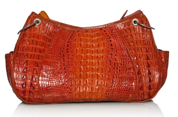Handväska i krokodilläder — Stockfoto