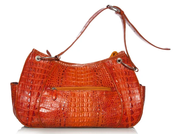 Handbag in crocodile leather — Stock Photo, Image