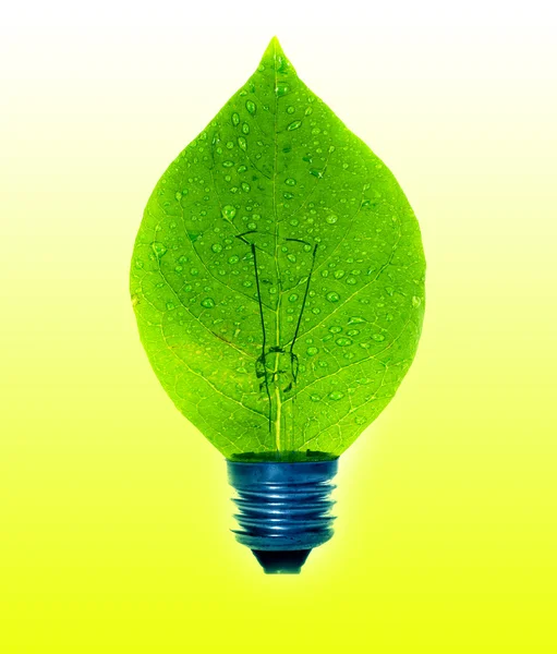 Luz de una hoja verde. Concepto de ahorro energético — Foto de Stock
