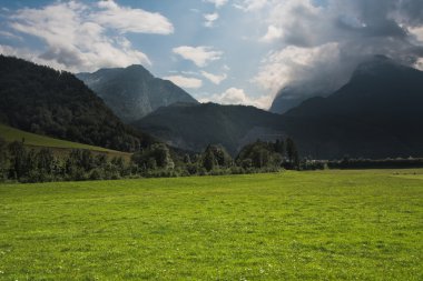 dağlar yeşil çim ile